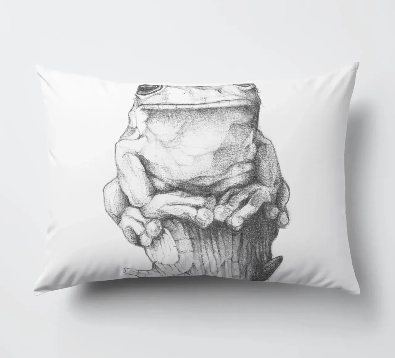 Rana e lumaca cuscino da mikekoubou