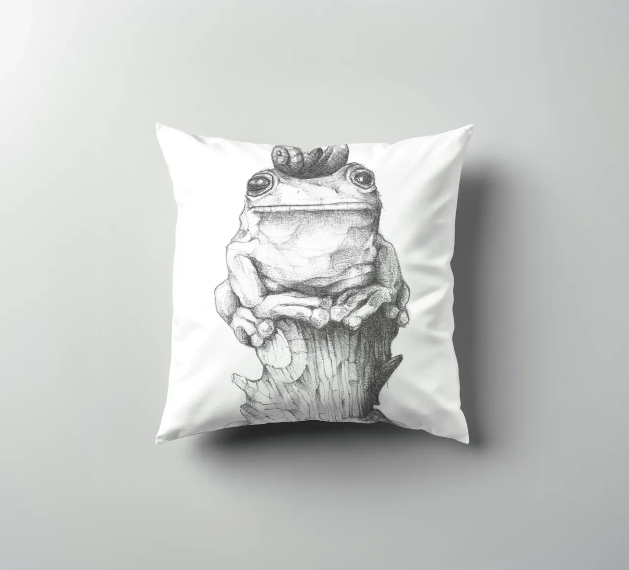 Rana e lumaca cuscino da mikekoubou