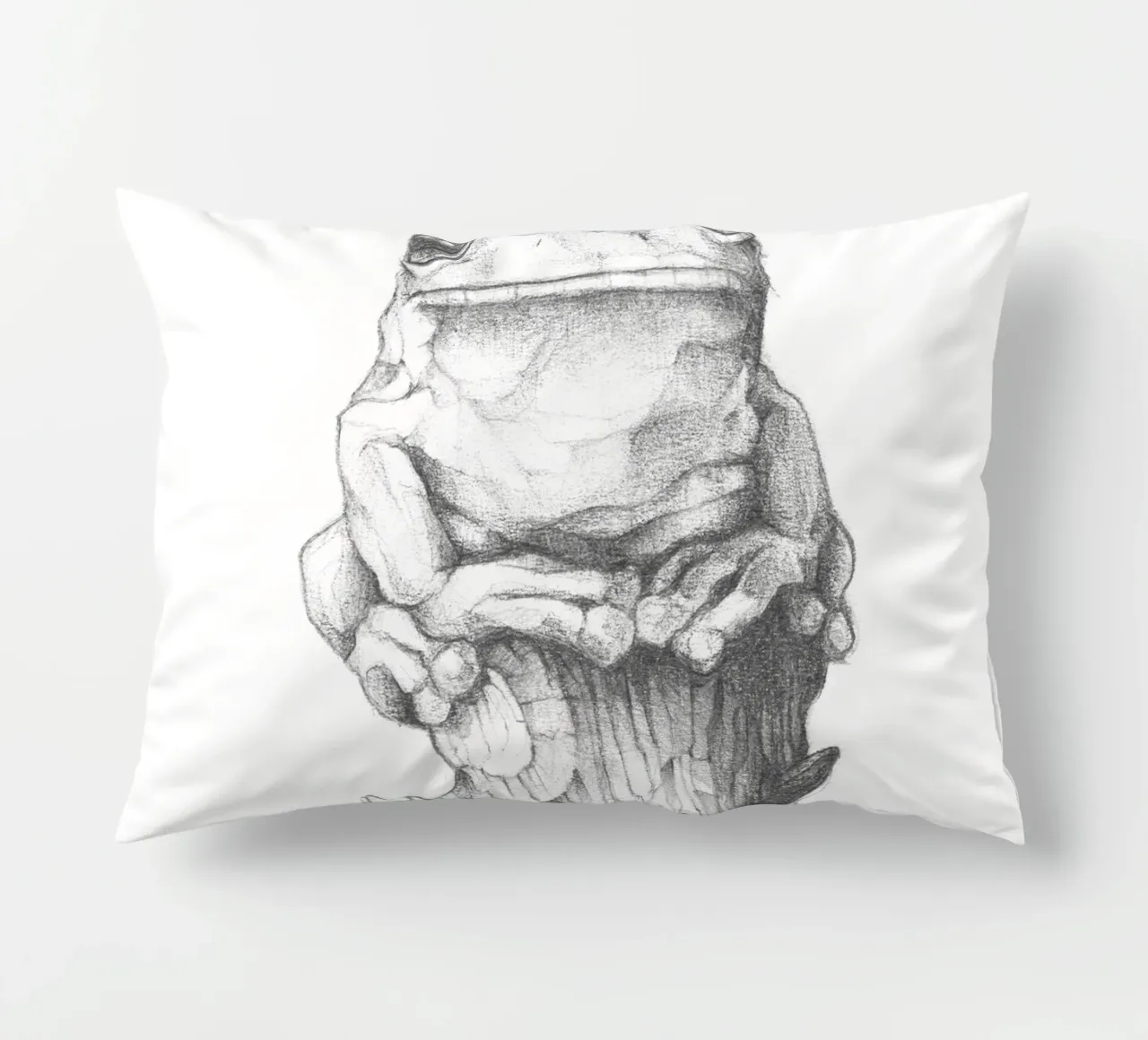 Rana e lumaca cuscino da mikekoubou