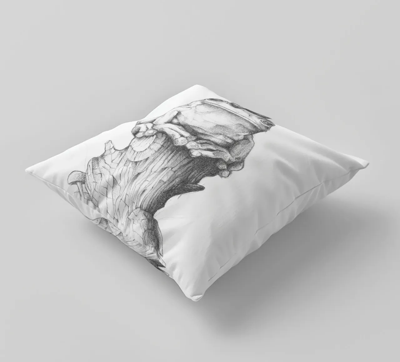 Rana e lumaca cuscino da mikekoubou