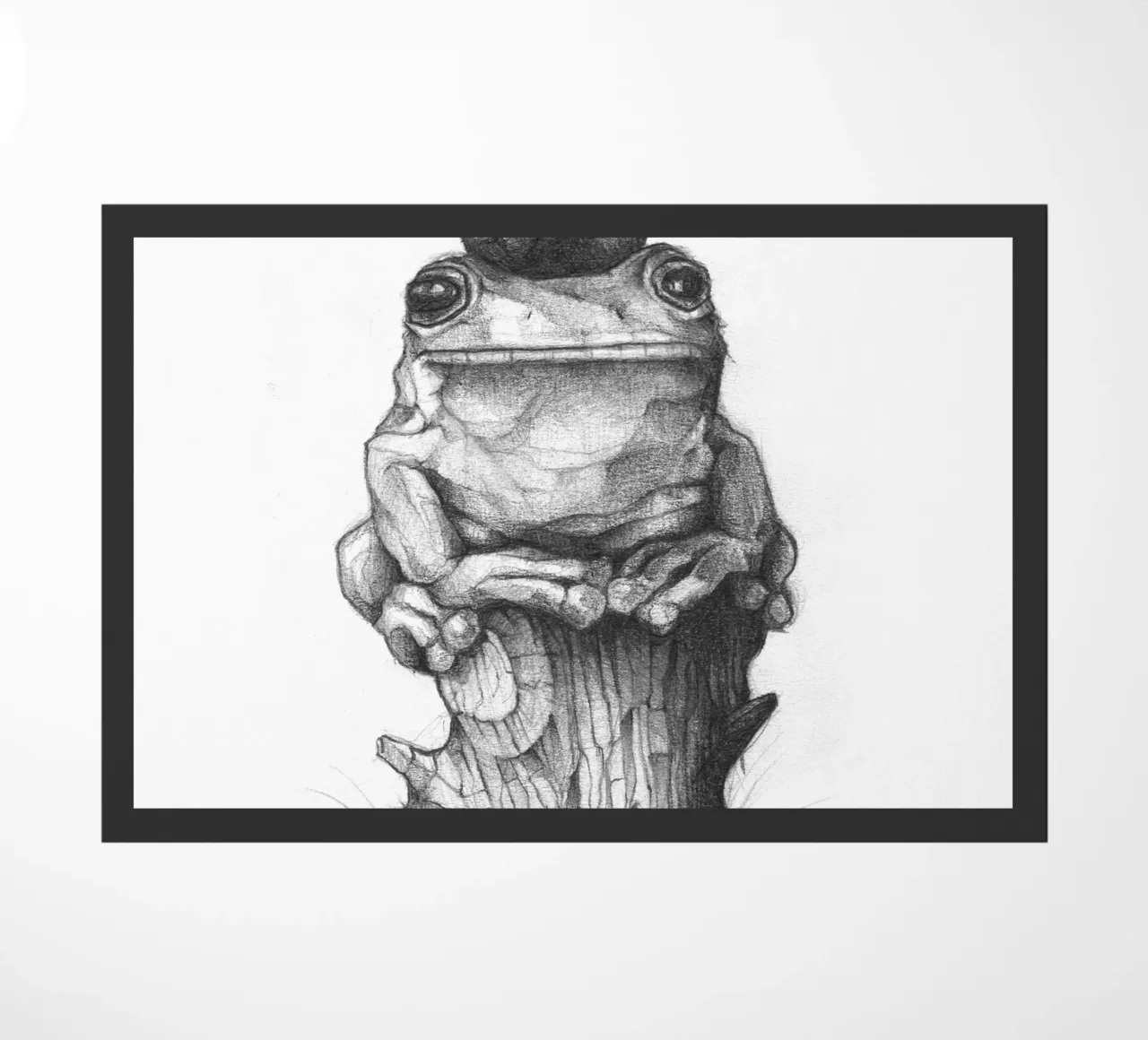 Rana e lumaca zerbino da mikekoubou