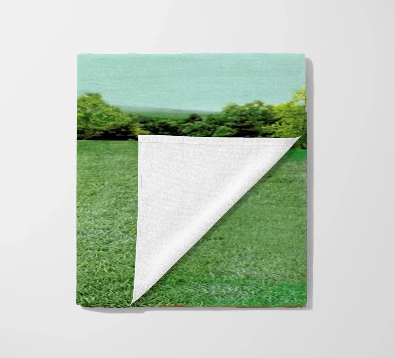 Own Your Own Plane telo mare da Ellen Weinstein