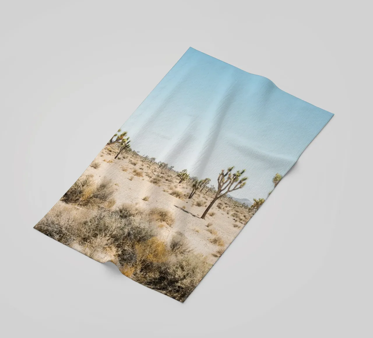 Joshua Tree National Park telo mare da patiphotography