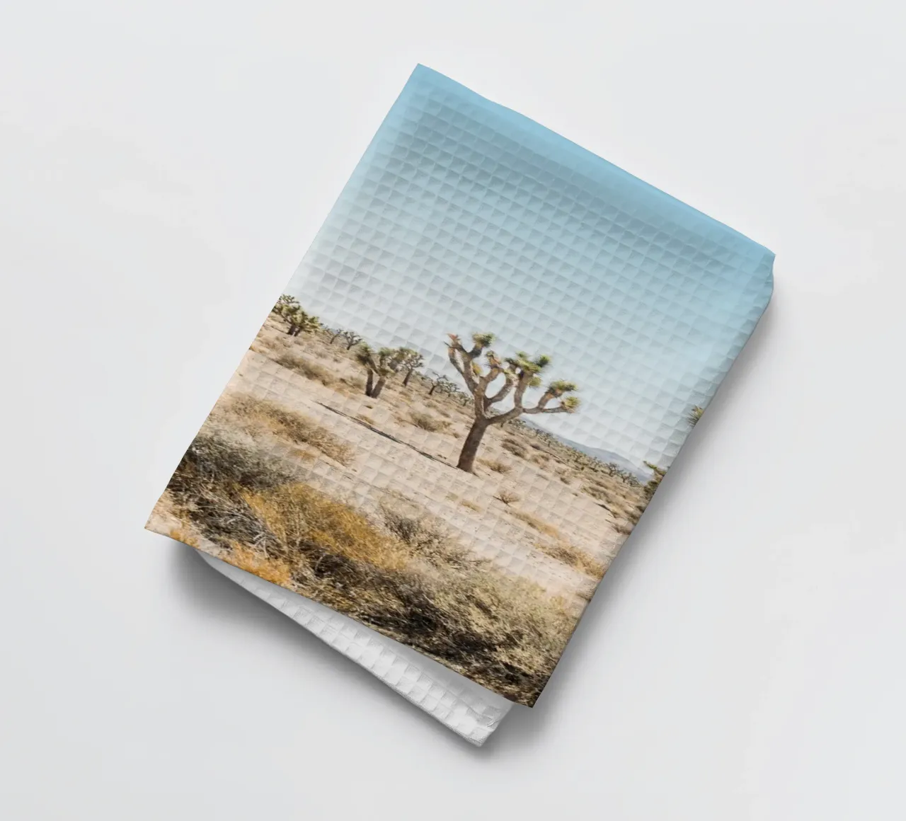 Joshua Tree National Park canovaccio da cucina da patiphotography