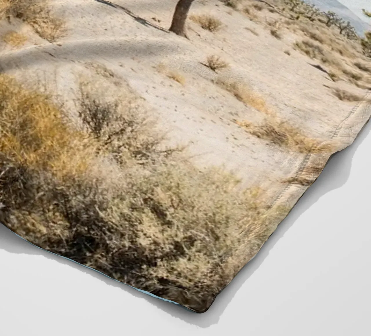 Joshua Tree National Park coperta in pile da patiphotography