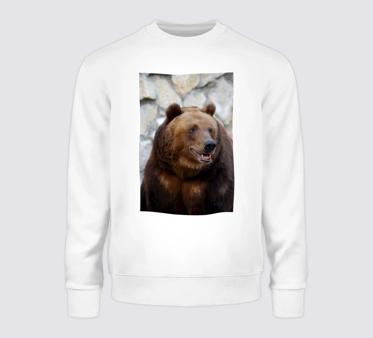 Orso felpa da Alexey