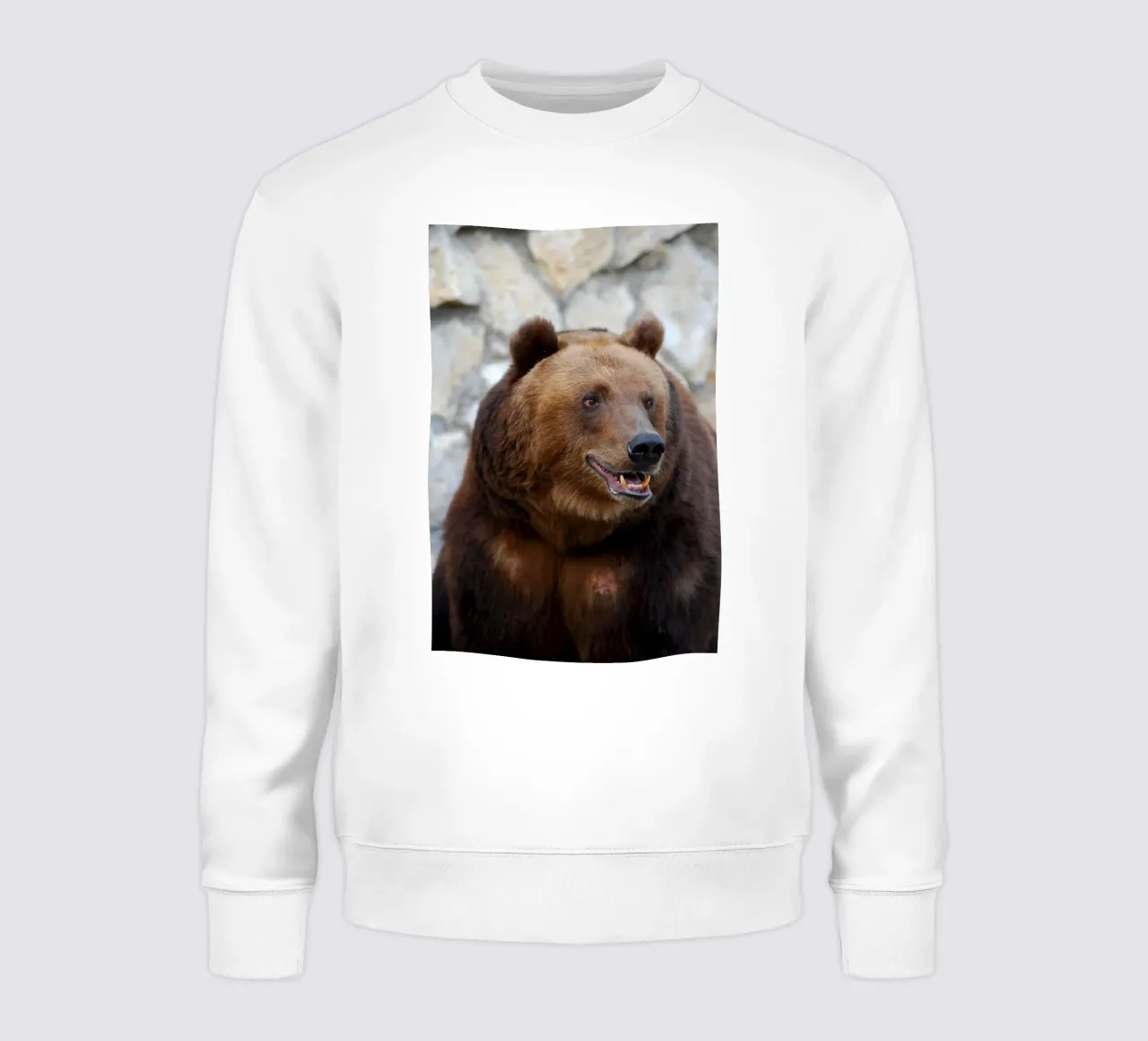 Orso felpa da Alexey