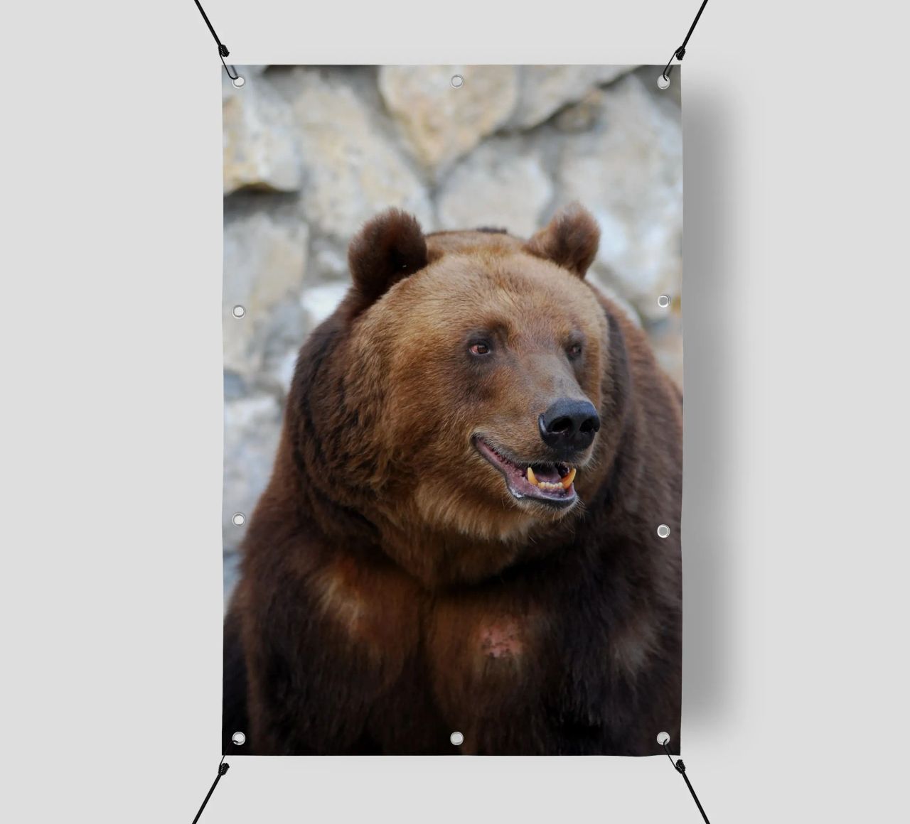 Orso telo in pvc da Alexey