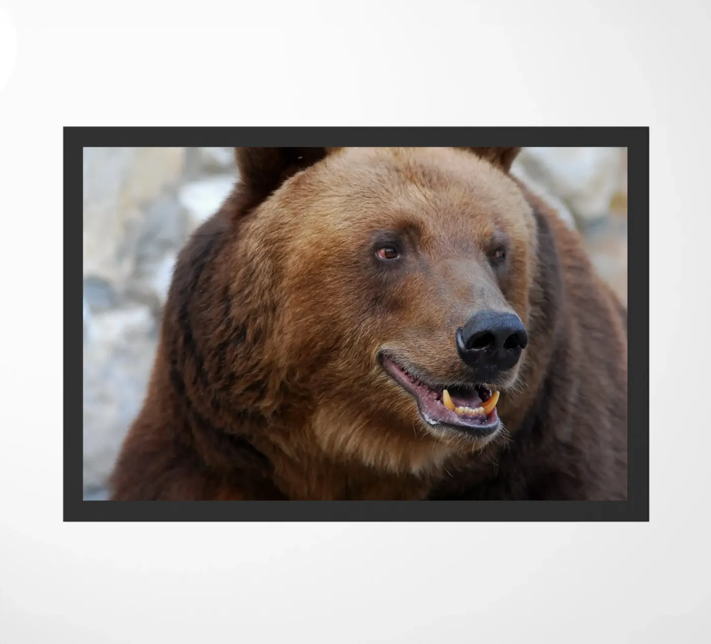 Bear paillasson de Alexey