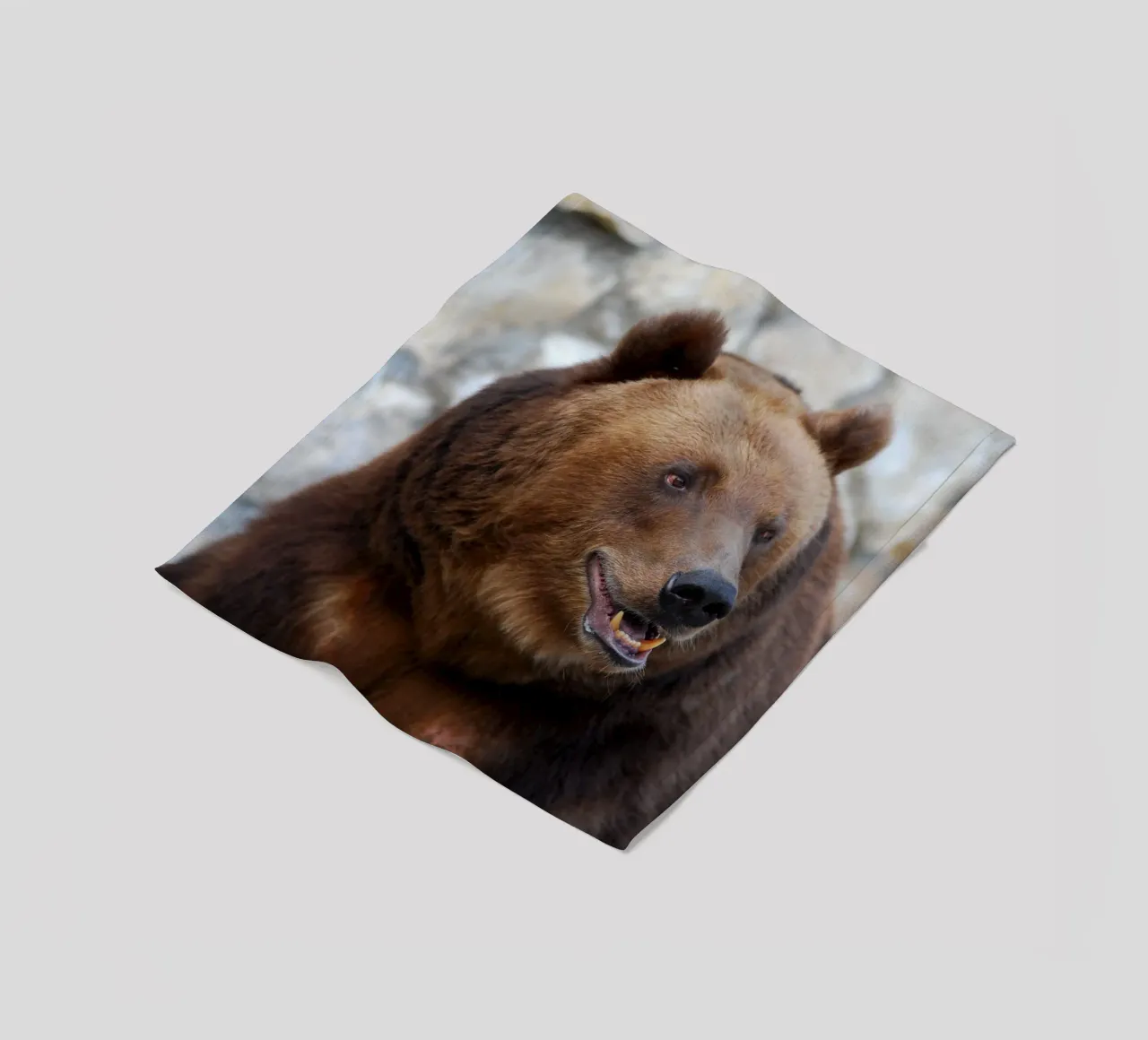 Bear Fleecedecke von Alexey