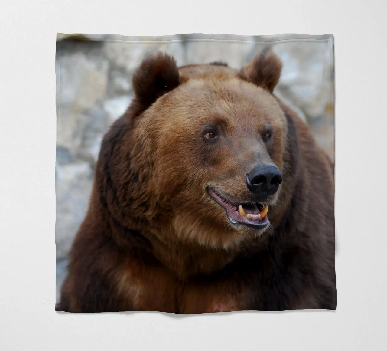 Bear Fleecedecke von Alexey