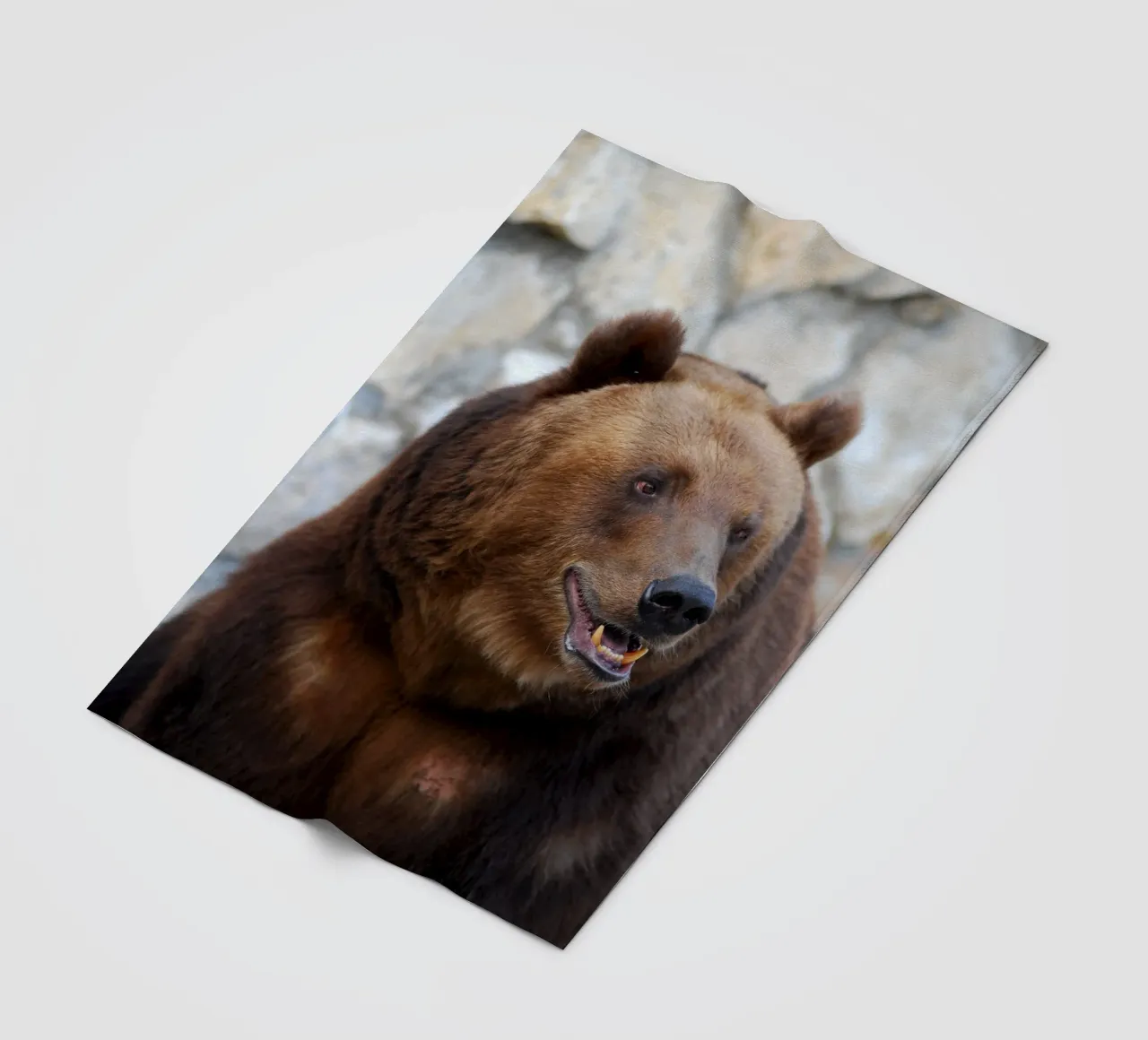 Bear Fleecedecke von Alexey