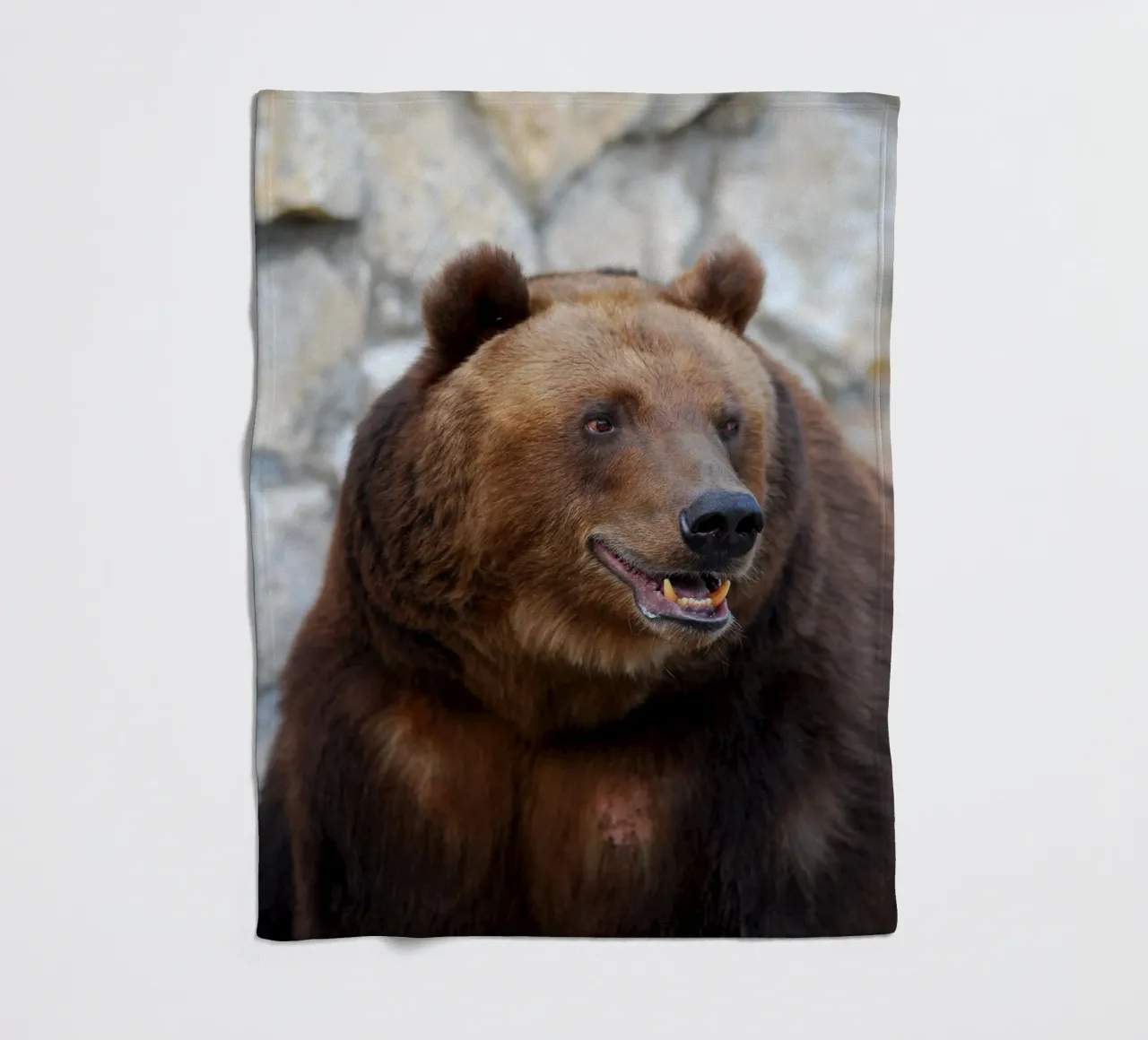 Bear Fleecedecke von Alexey