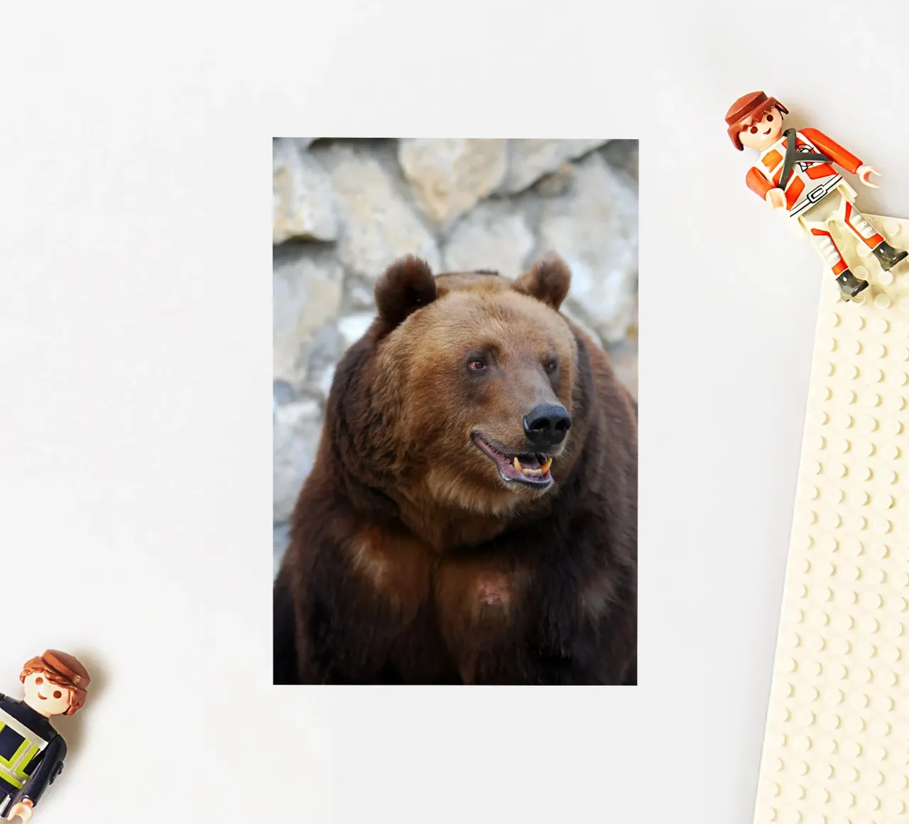 Bear sticker by Alexey