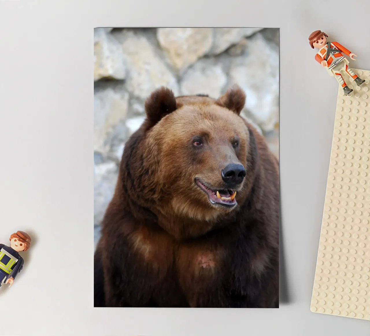 Bear sticker sheet by Alexey