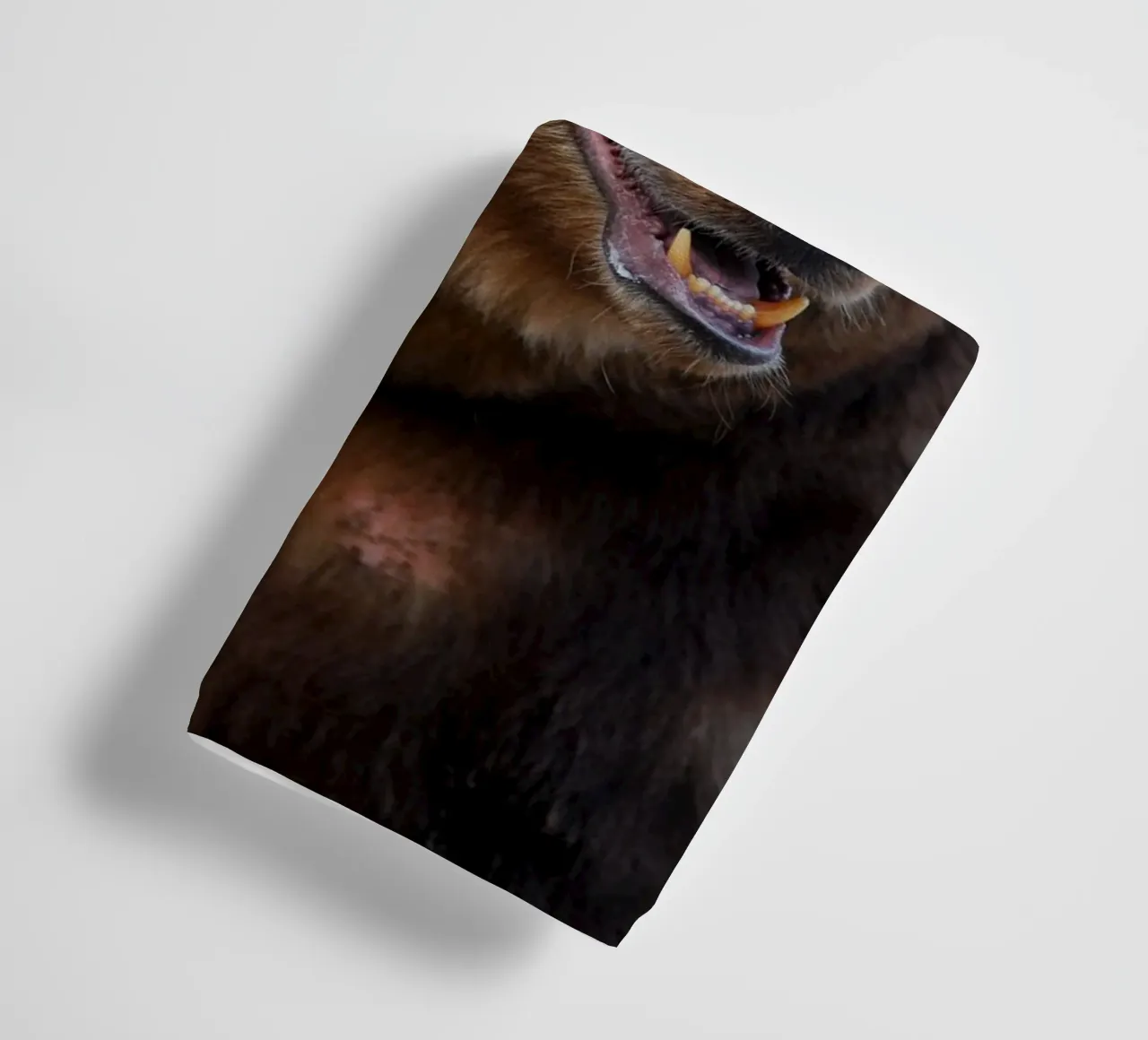 Bear towel by Alexey