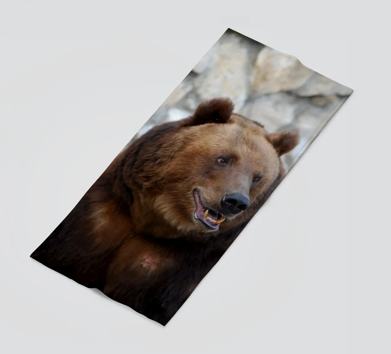 Orso telo mare da Alexey