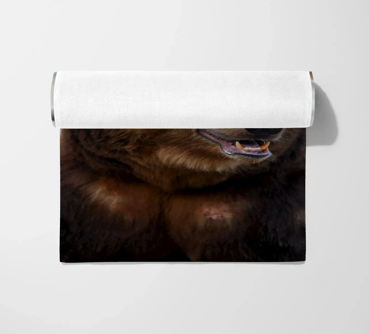 Orso telo mare da Alexey