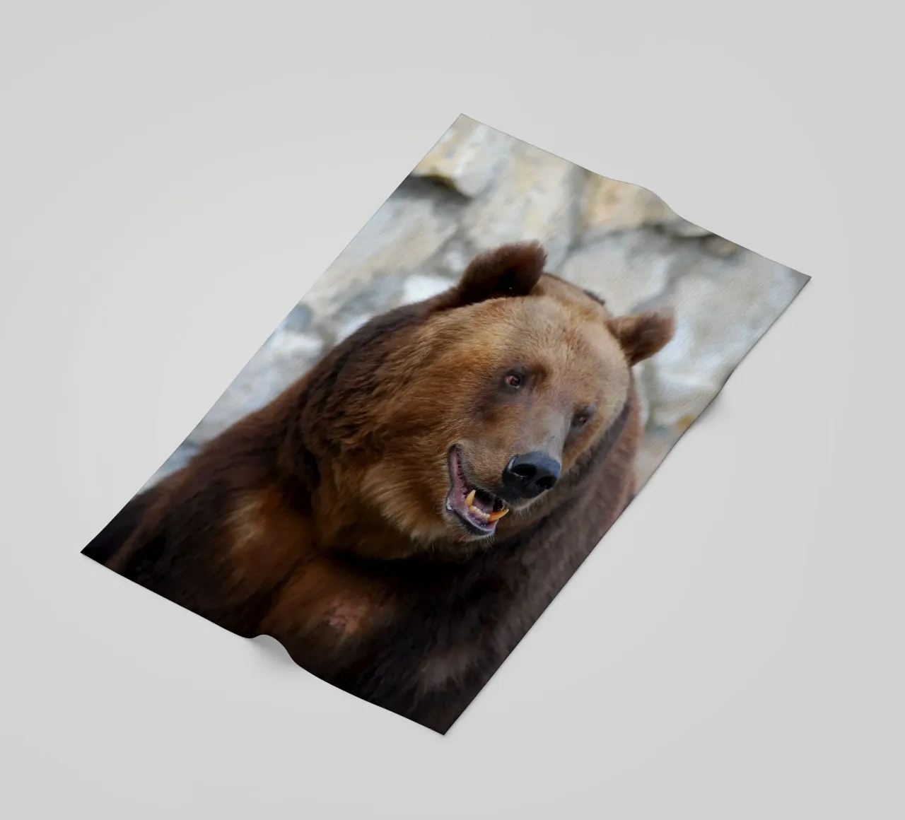 Orso telo mare da Alexey