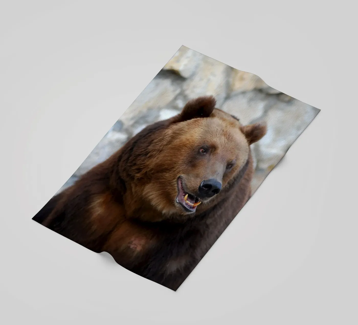 Bear telo mare da Alexey