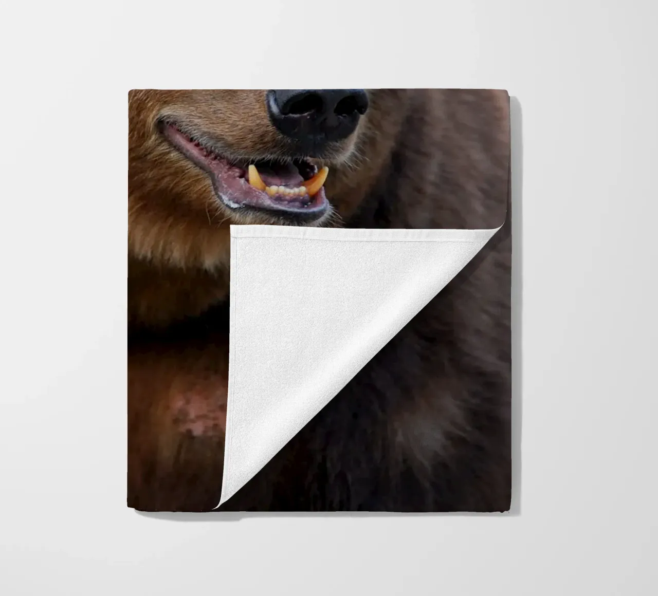 Orso telo mare da Alexey