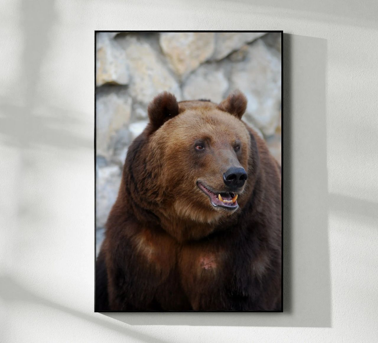 Orso plexiglass da Alexey