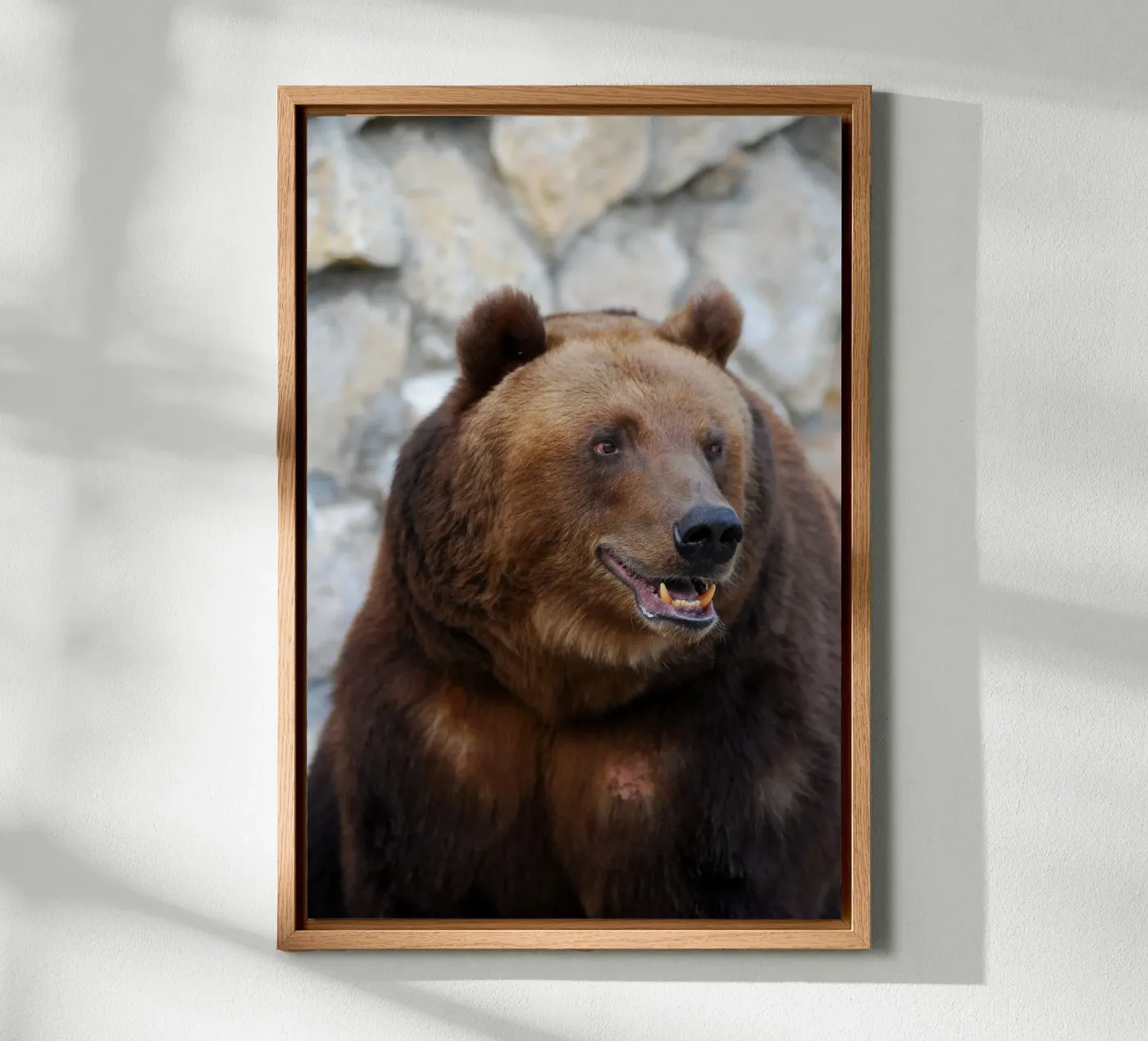 Orso alluminio dibond da Alexey