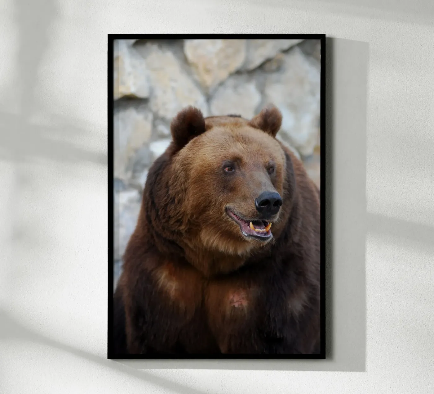 Bear poster by Alexey