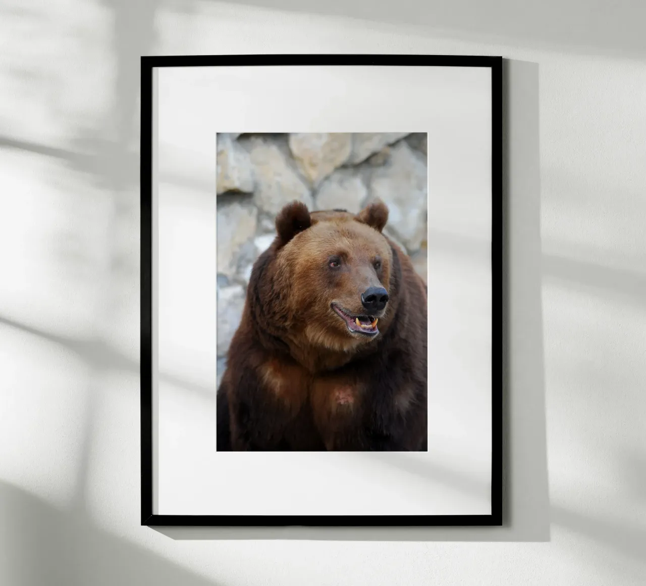 Orso carta hahnemühle da Alexey