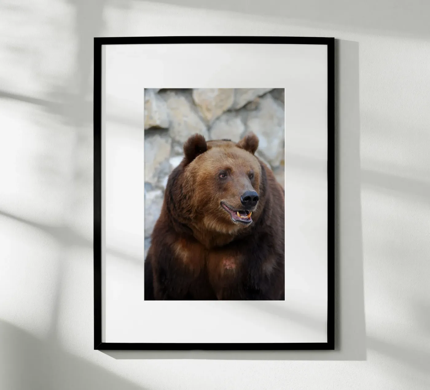 Bear poster by Alexey