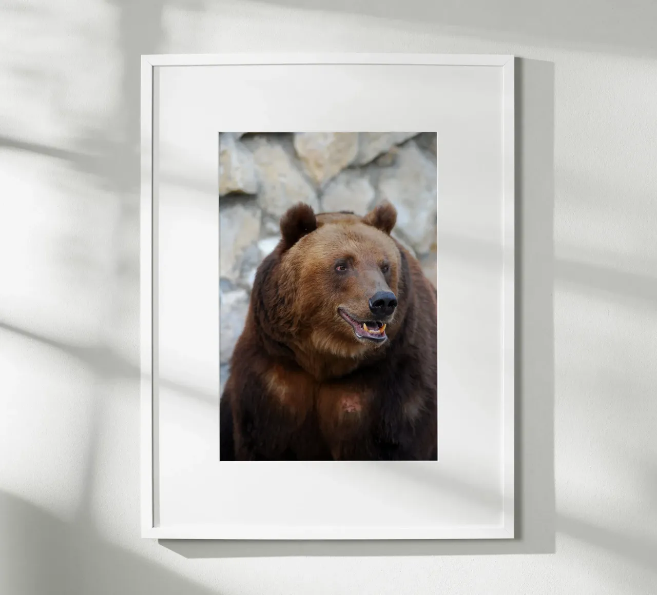 Orso carta hahnemühle da Alexey