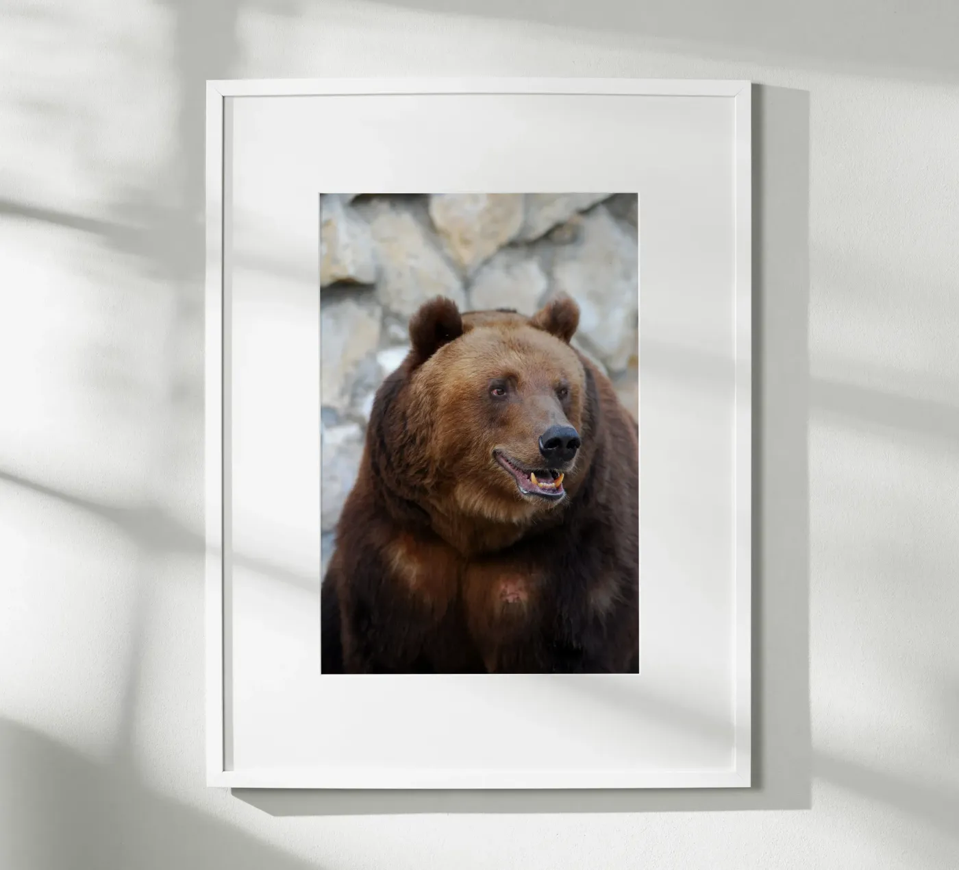 Bear poster by Alexey
