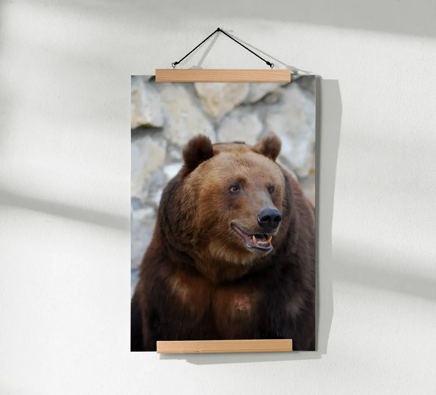 Bear poster by Alexey