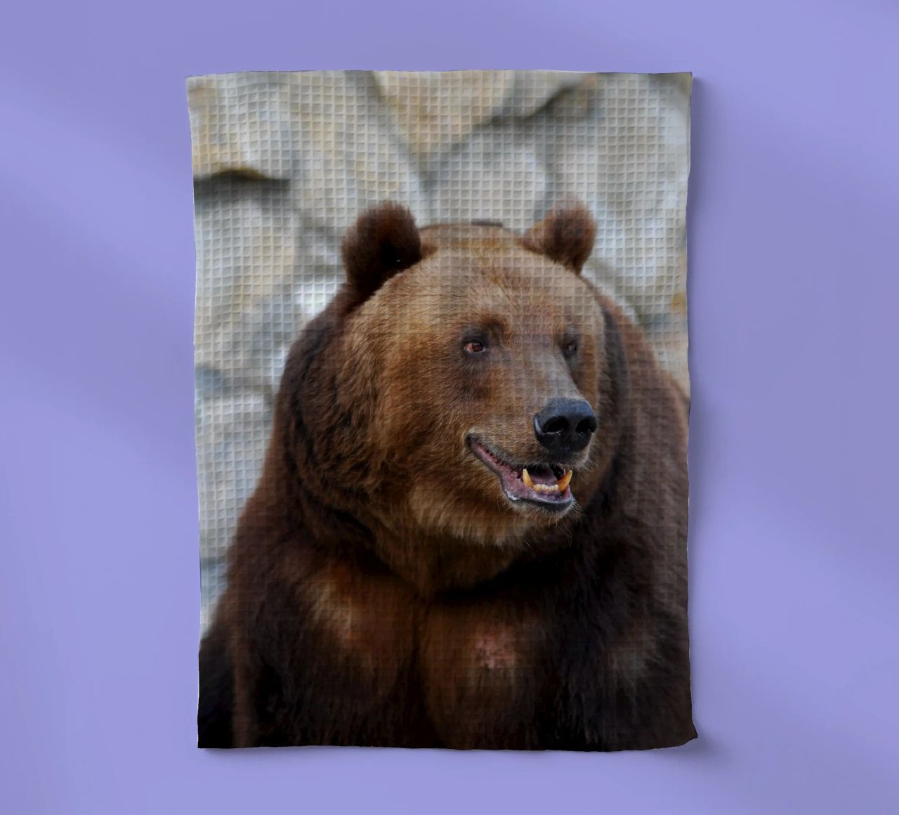 Orso canovaccio da cucina da Alexey