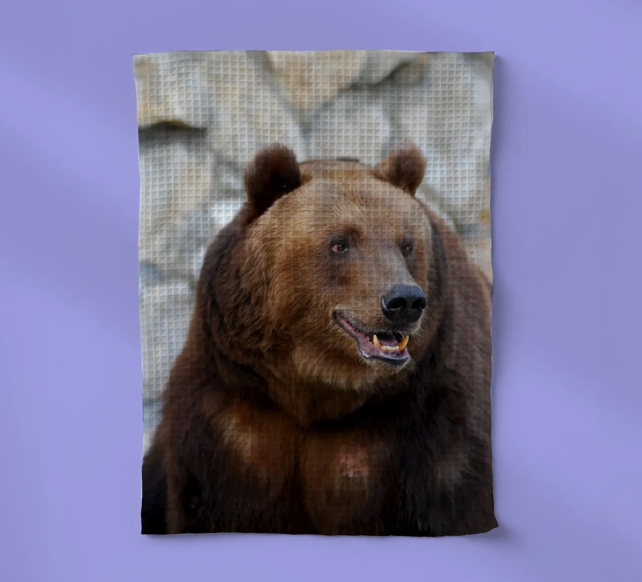 Orso canovaccio da cucina da Alexey