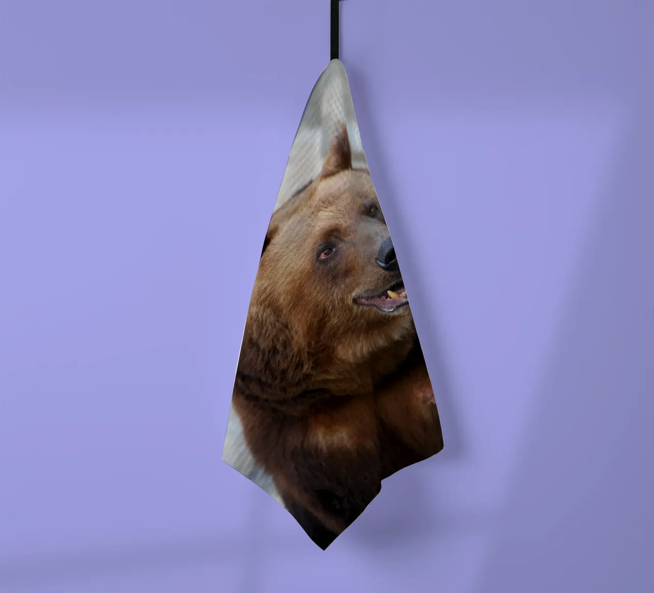 Orso canovaccio da cucina da Alexey