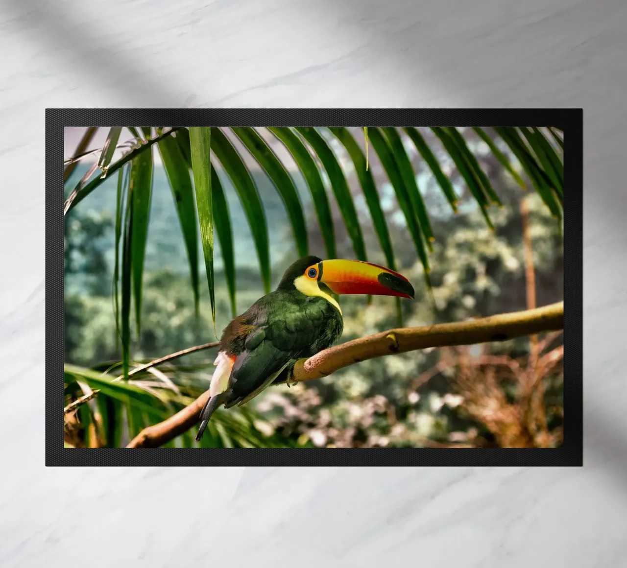Toucan doormat by Alexey