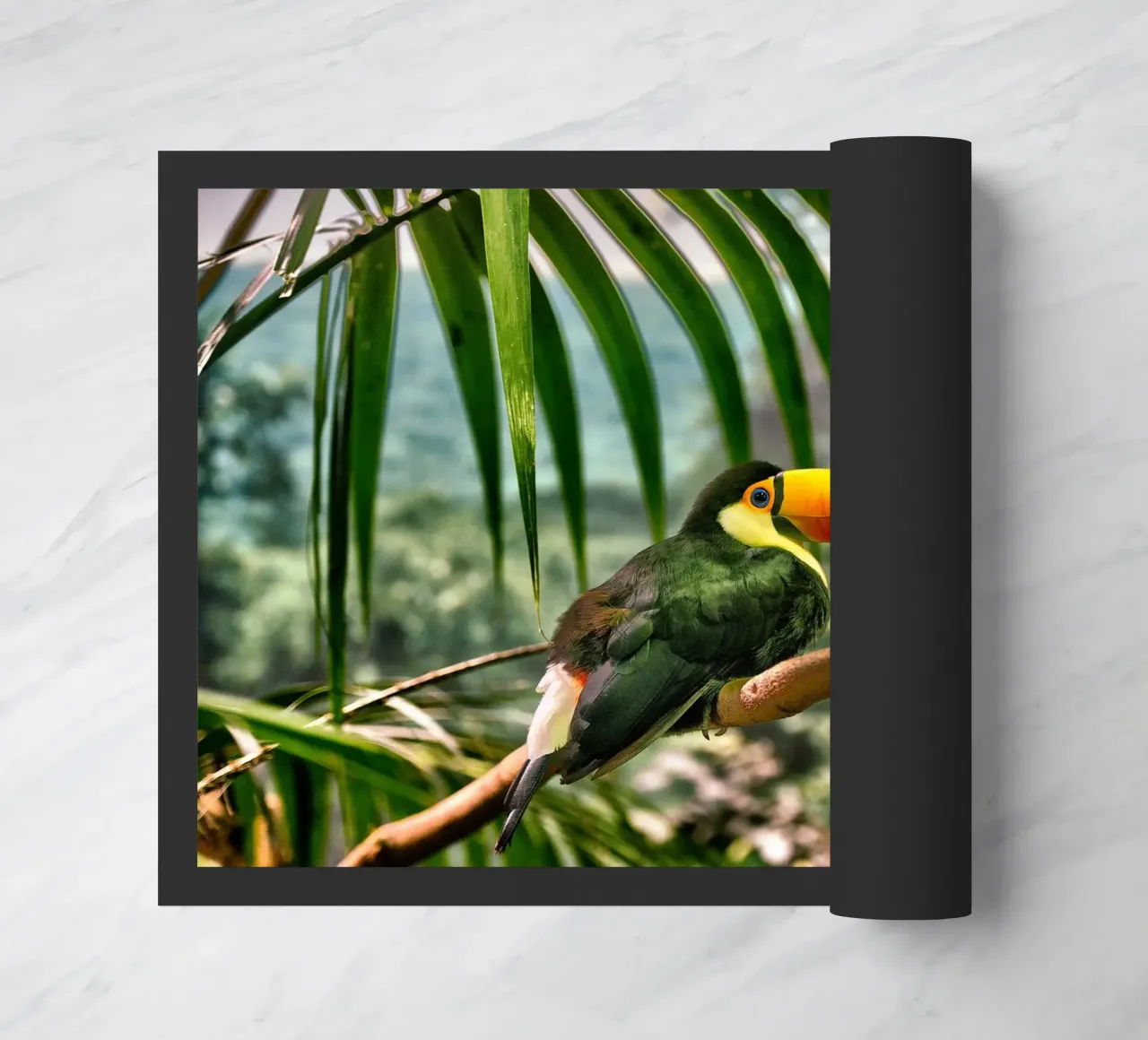 Toucan doormat by Alexey