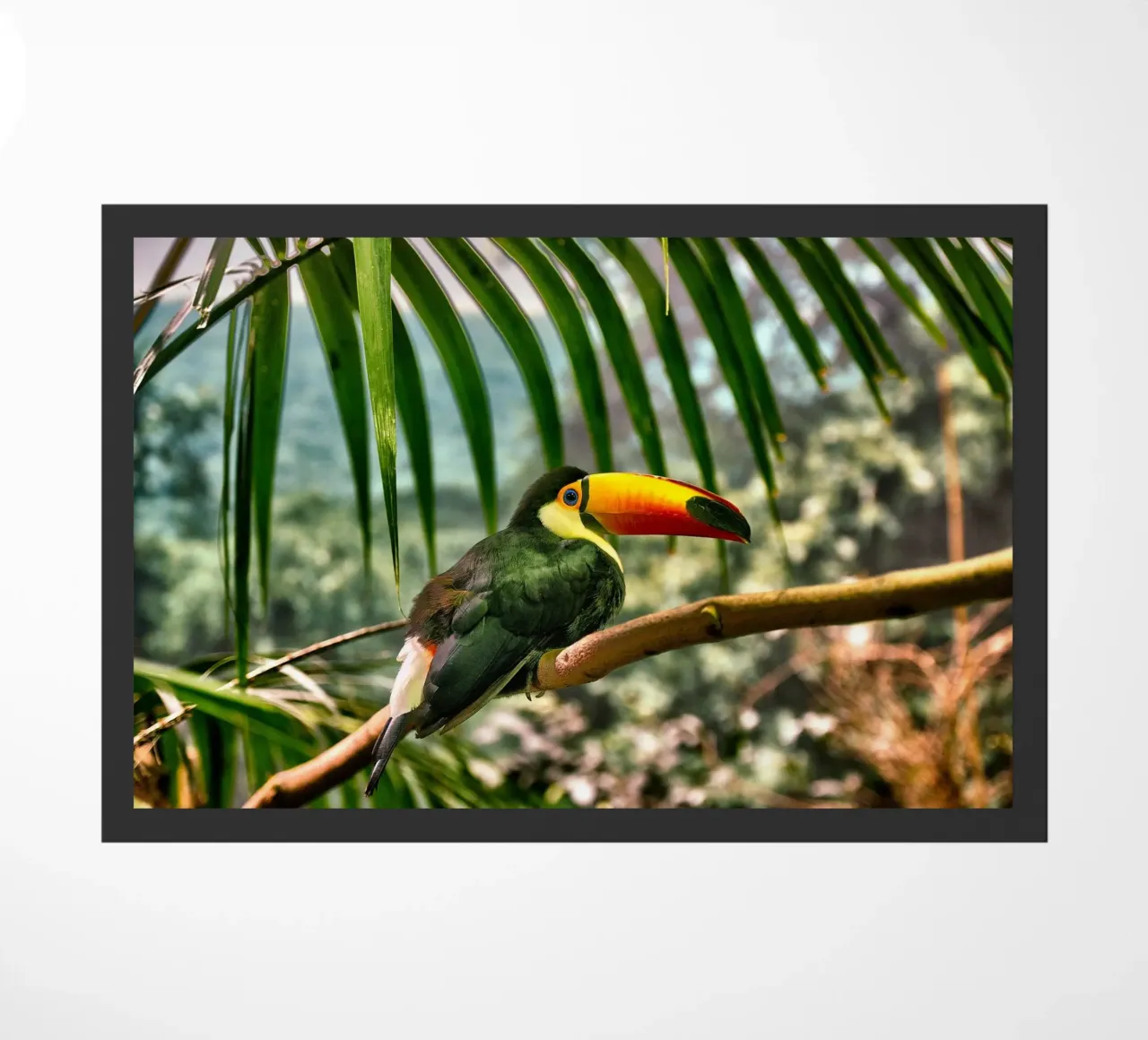 Toucan doormat by Alexey