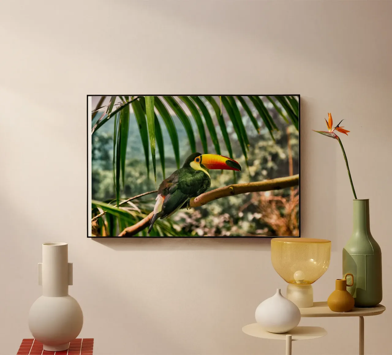 Tucano plexiglass da Alexey