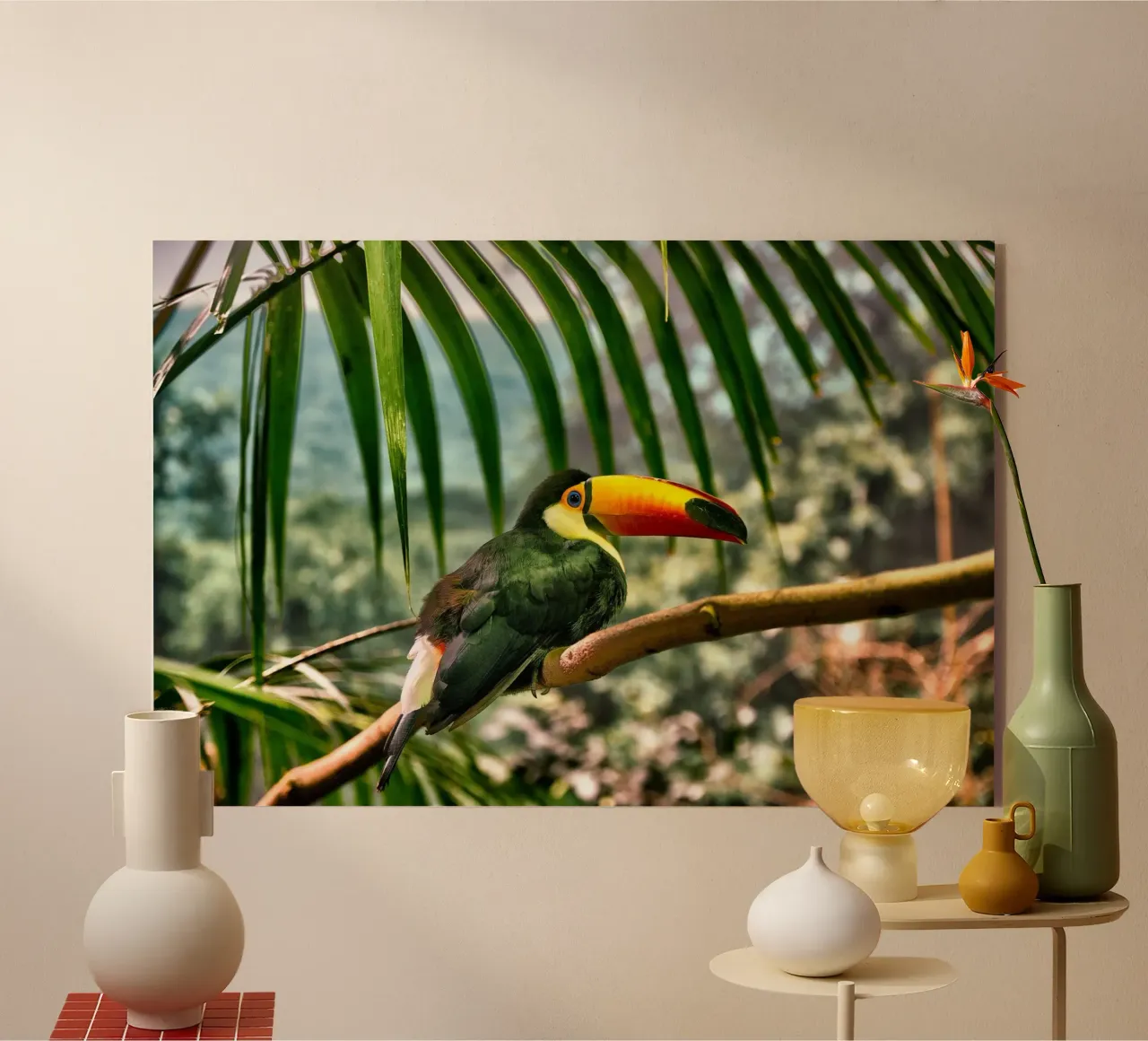 Tucano plexiglass da Alexey