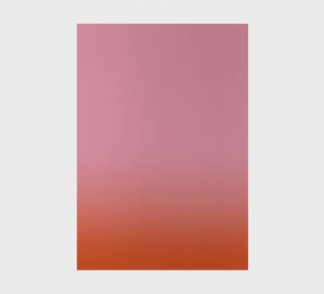 Rosarot Fade Gradient diario da BAINAI KIDS
