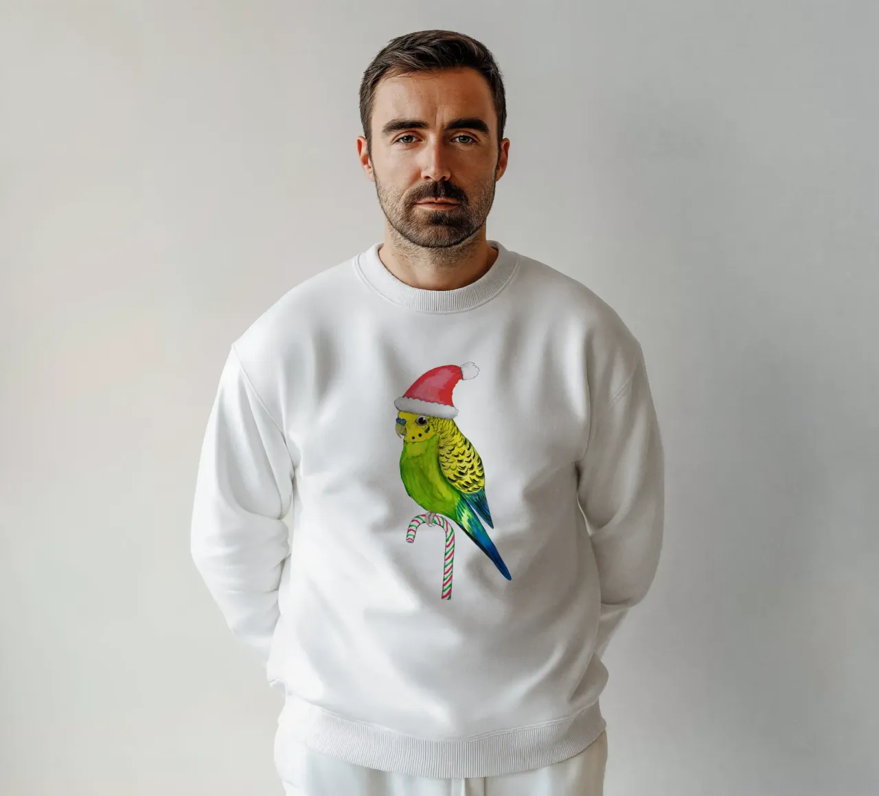 Budgie in stile natalizio felpa da BwiseLizzy