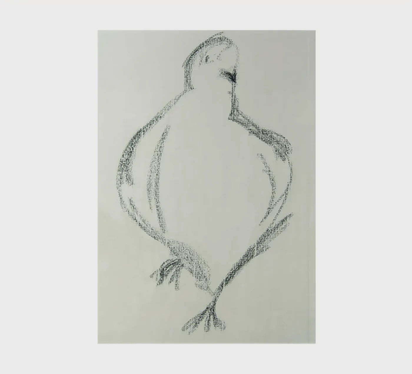 Dove notebook by Teresa André