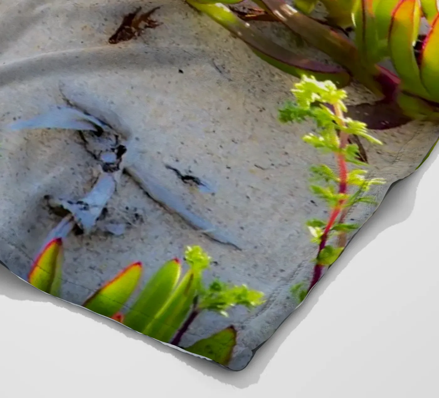 Dünen Fleecedecke von Teresa André