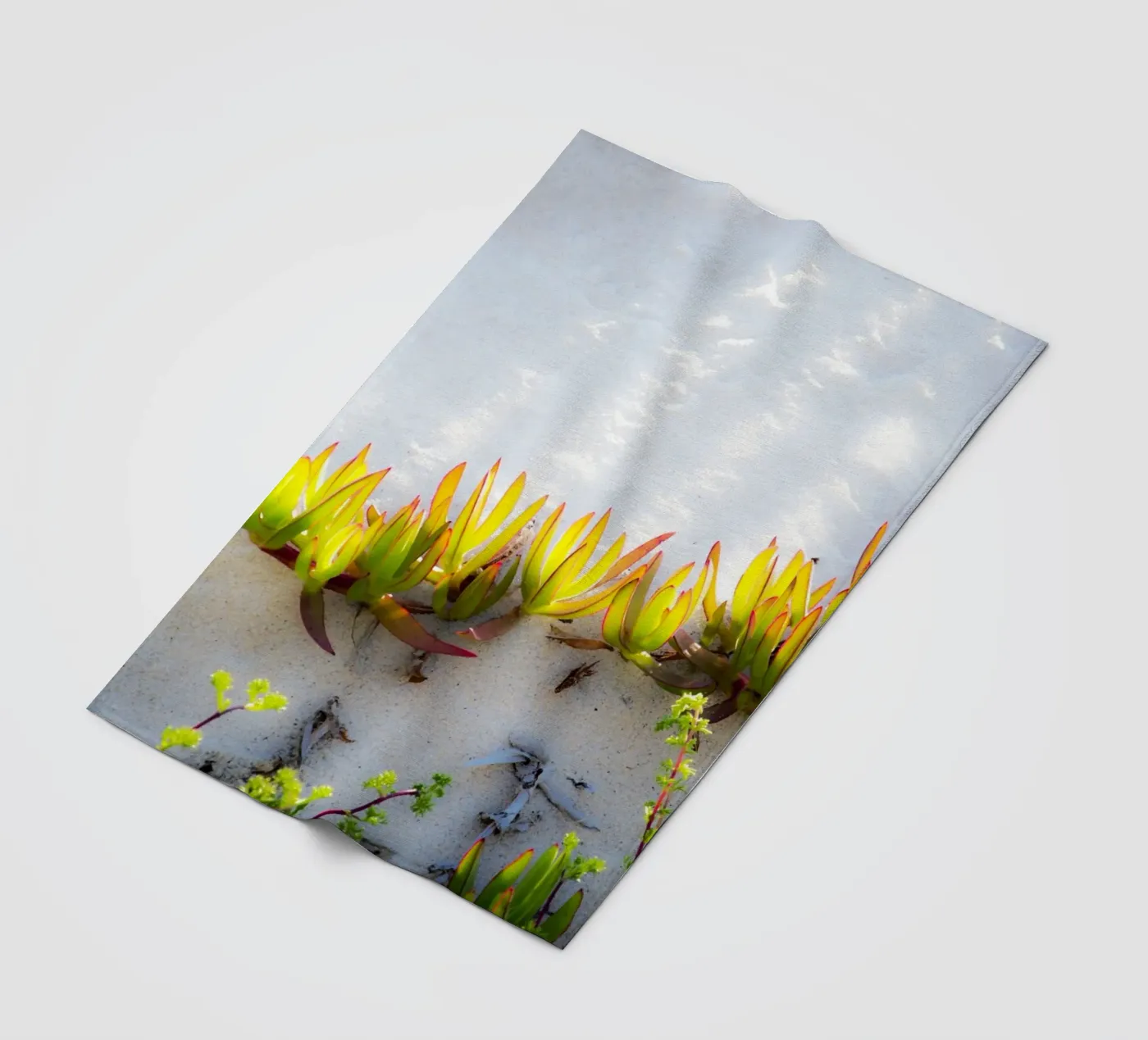 Dünen Fleecedecke von Teresa André