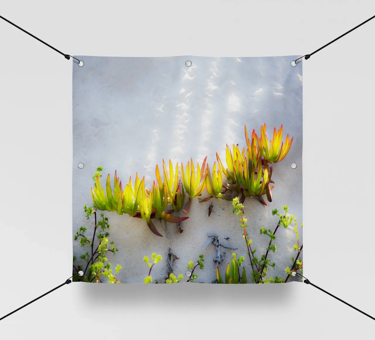 Dune telo in pvc da Teresa André