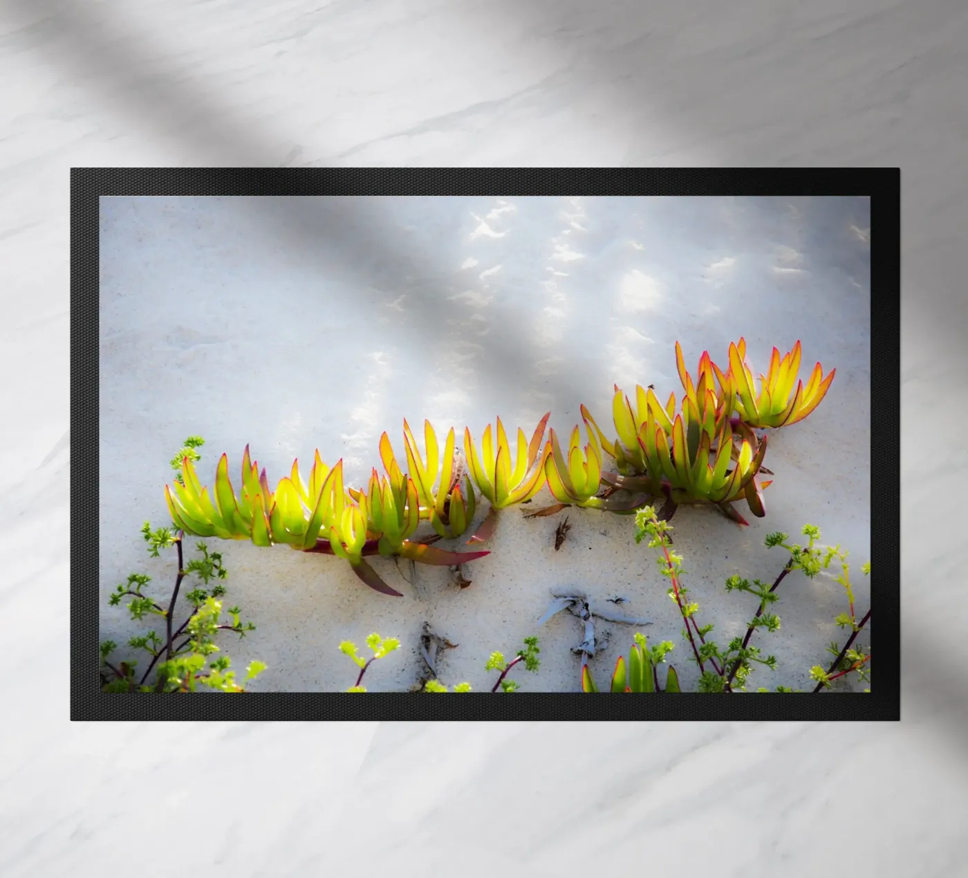 Dune zerbino da Teresa André