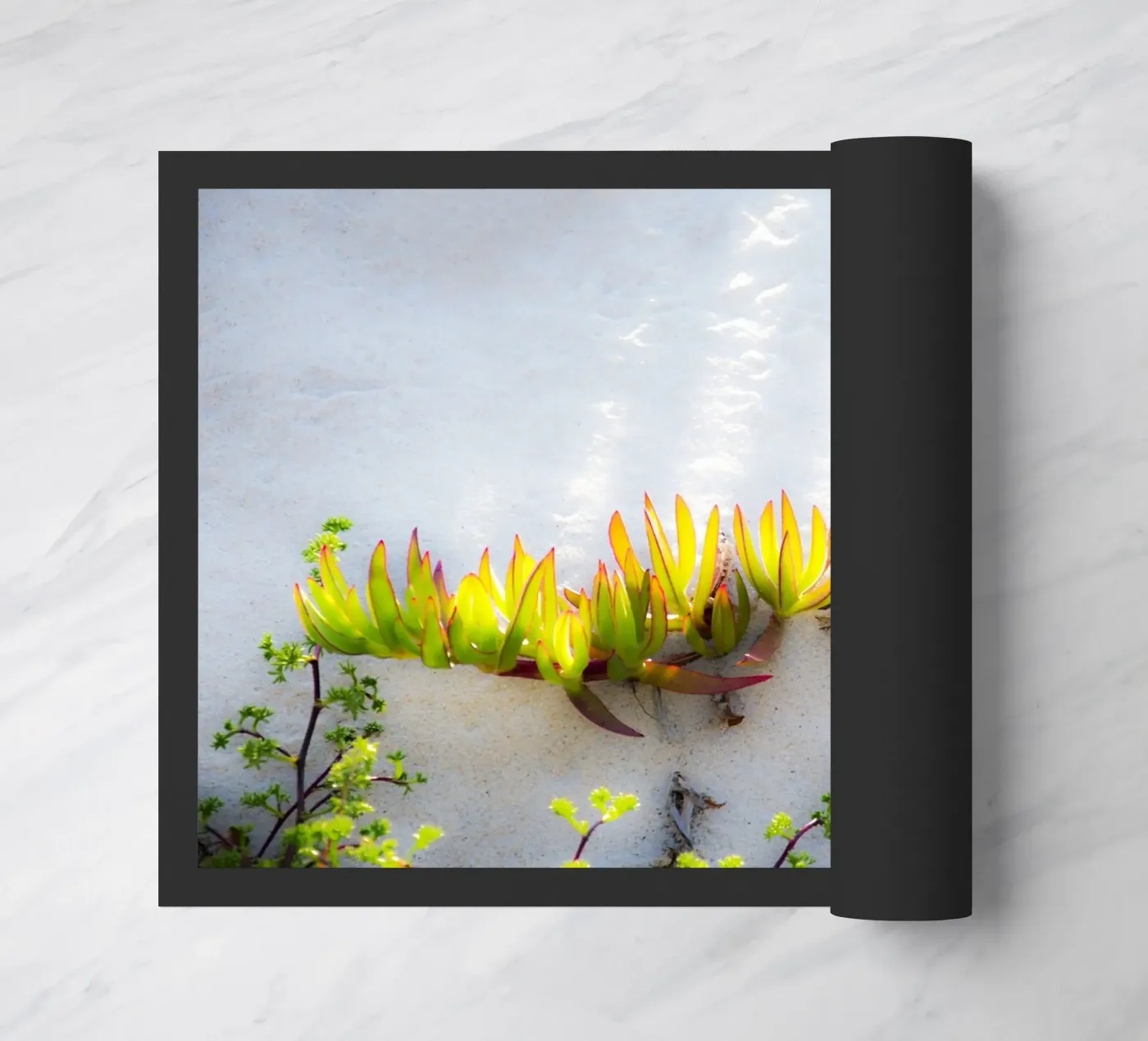 Dune zerbino da Teresa André