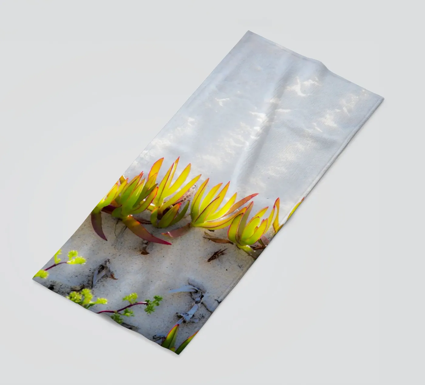 Dune telo mare da Teresa André